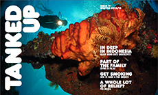 Download Tanked Up Magazine Issue 17